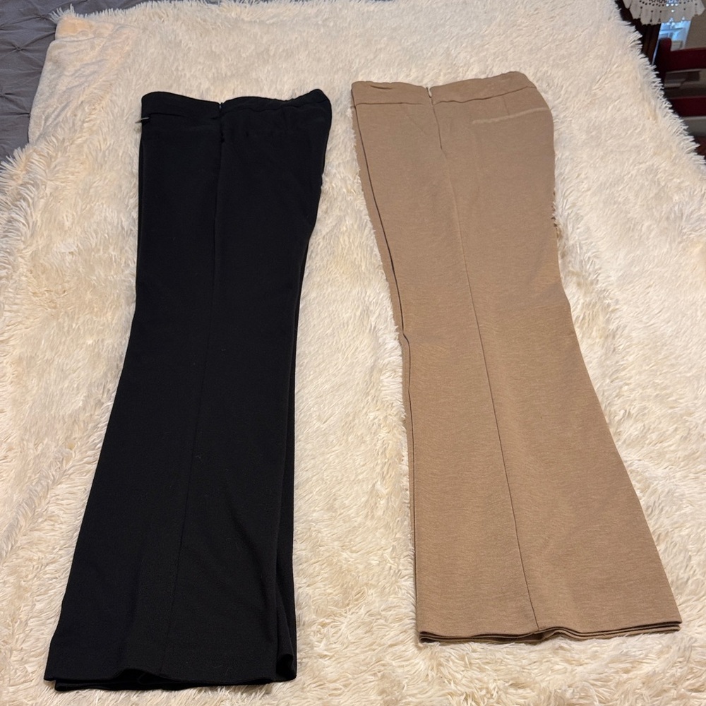 New York & Company 7th Avenue Black Knit Pants